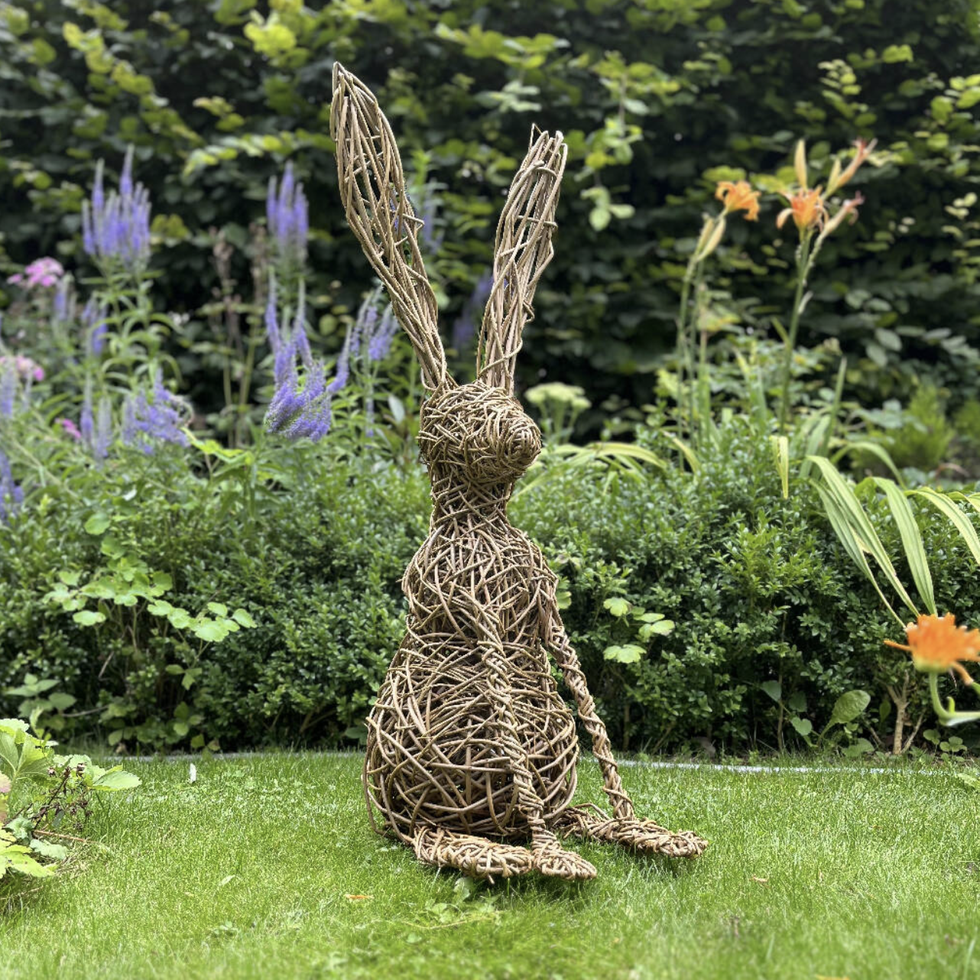 willow hare