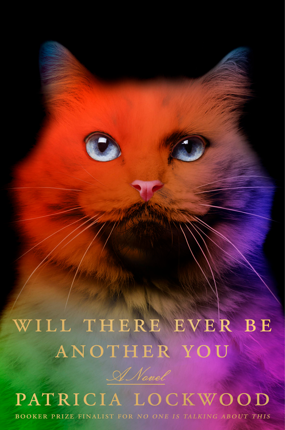 the cover of will there ever be another you by patricia lockwood