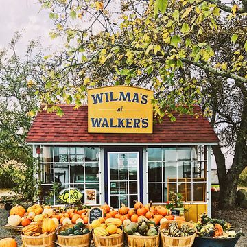 pumpkin stand with sign that says wilma's at walkers