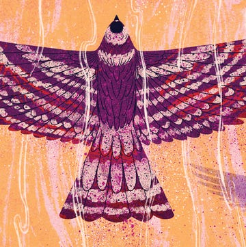 Eagle, Purple, Bird, Illustration, Art, Bird of prey, Textile, Magenta, Visual arts, Graphic design, Eagle, Purple, Bird, Illustration, Art, Bird of prey, Textile, Magenta, Visual arts, Graphic design,