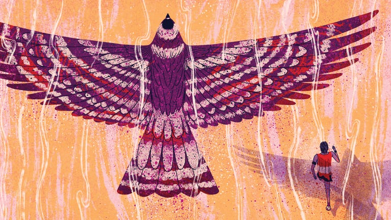 Eagle, Purple, Bird, Illustration, Art, Bird of prey, Textile, Magenta, Visual arts, Graphic design, 