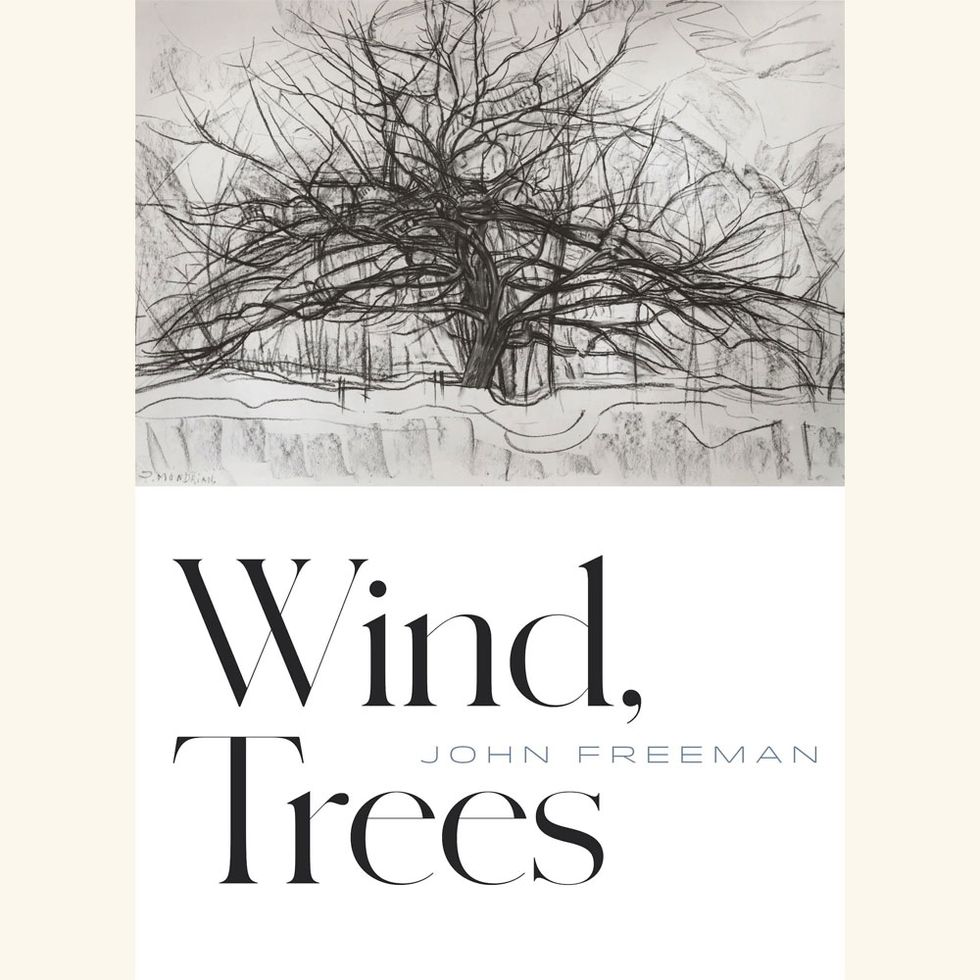 wind trees, john freeman