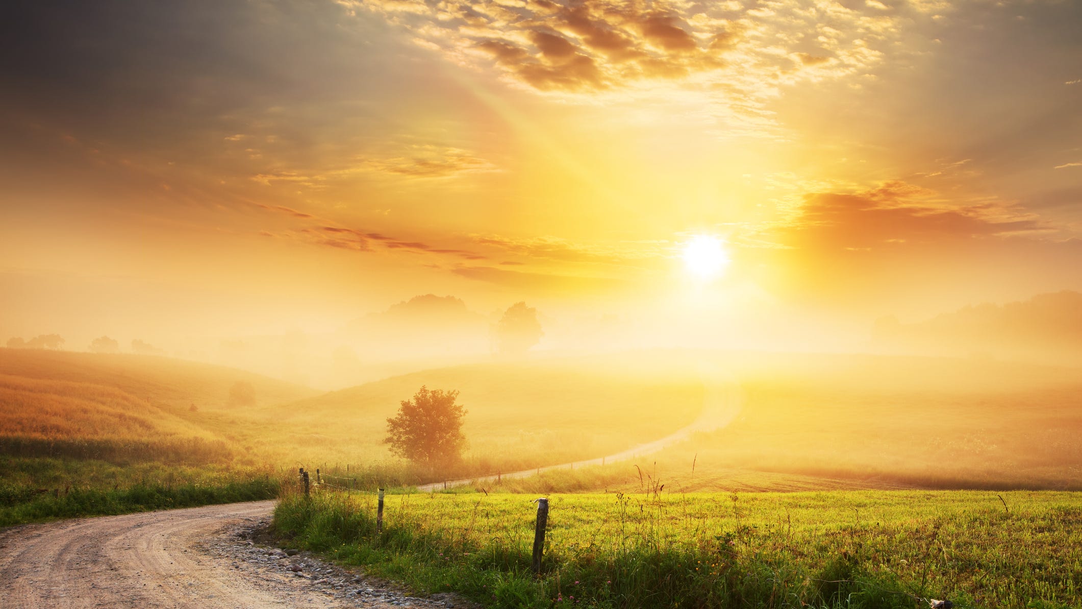 100 Good Morning Quotes to Give Your Day a Bright Start