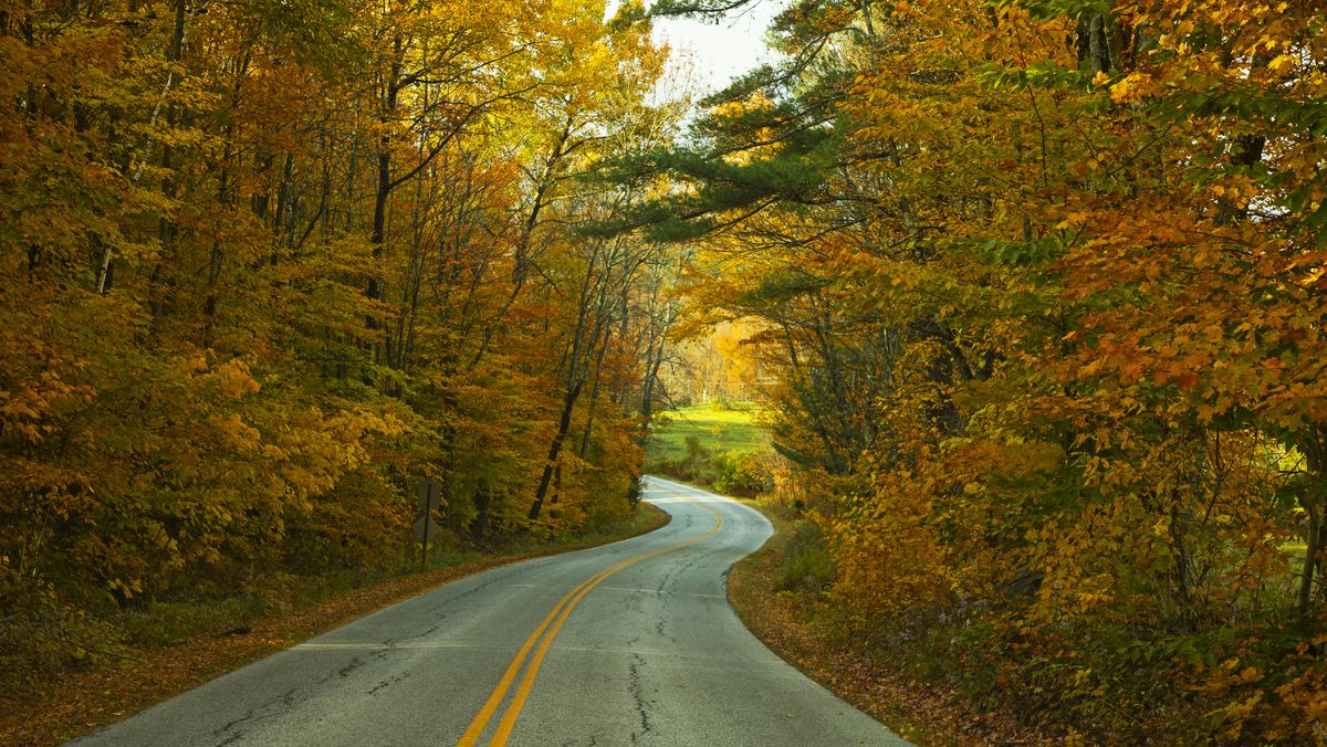 winding road in autumn