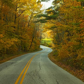 winding road in autumn