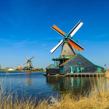 windmills on the riverbank, zaans schans, north of amsterdam, holland