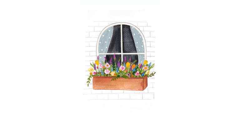 window box trends