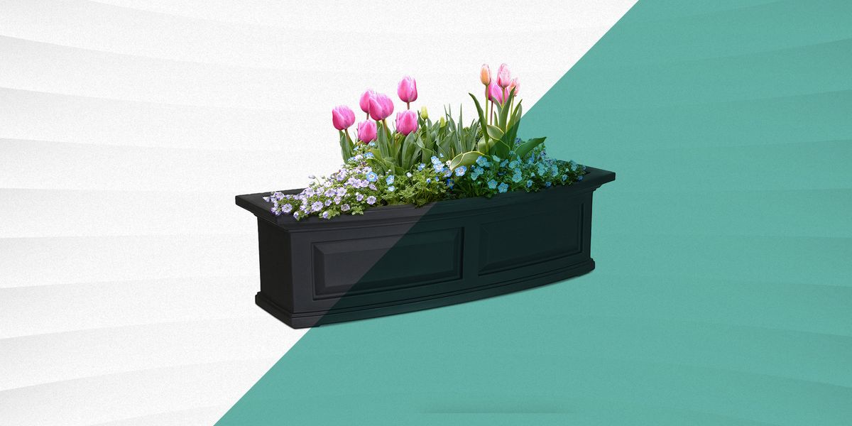 The 12 Best Window Boxes for Your Favorite Blooms