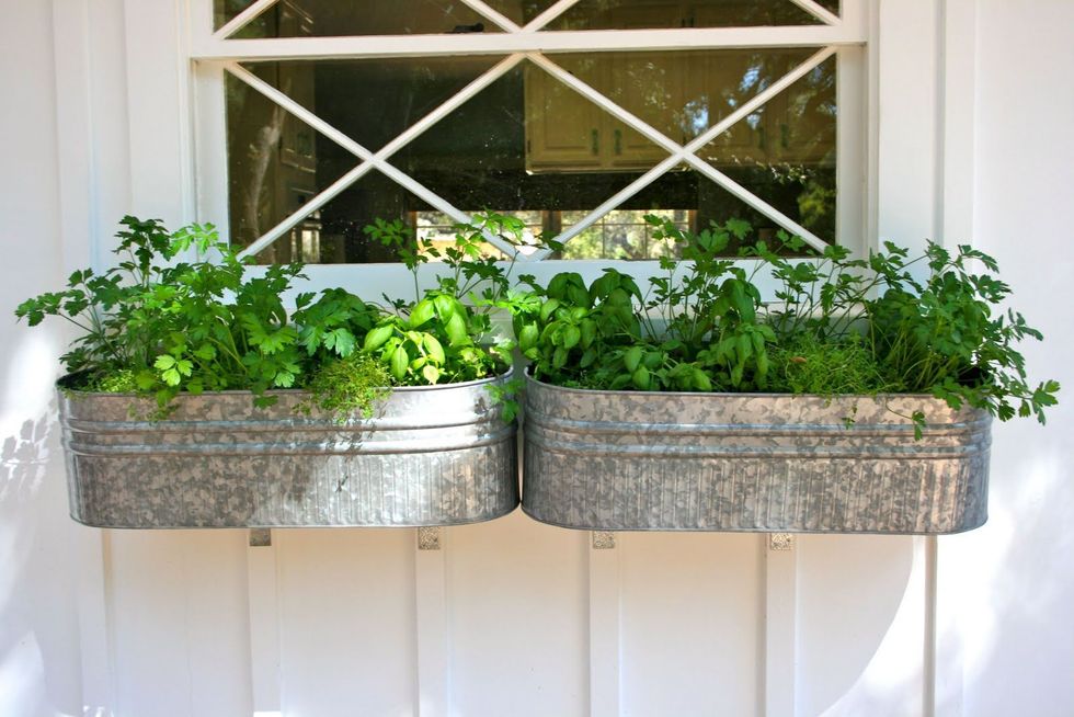 window boxes herb garden