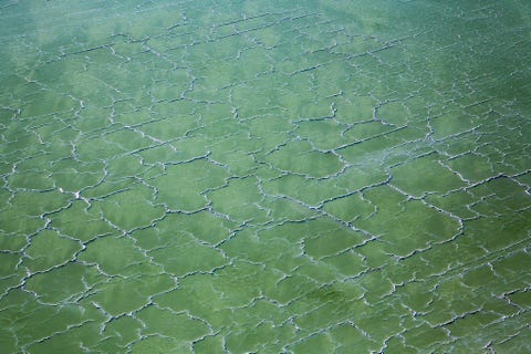 GREAT SALT LAKE UTAH  Het zoutgehalte in het Great Salt Lake een van de grootste zoutwatermeren ter wereld is bijna vier tot tien keer dat van de zee waardoor zwemmers blijven drijven in het warme ondiepe water