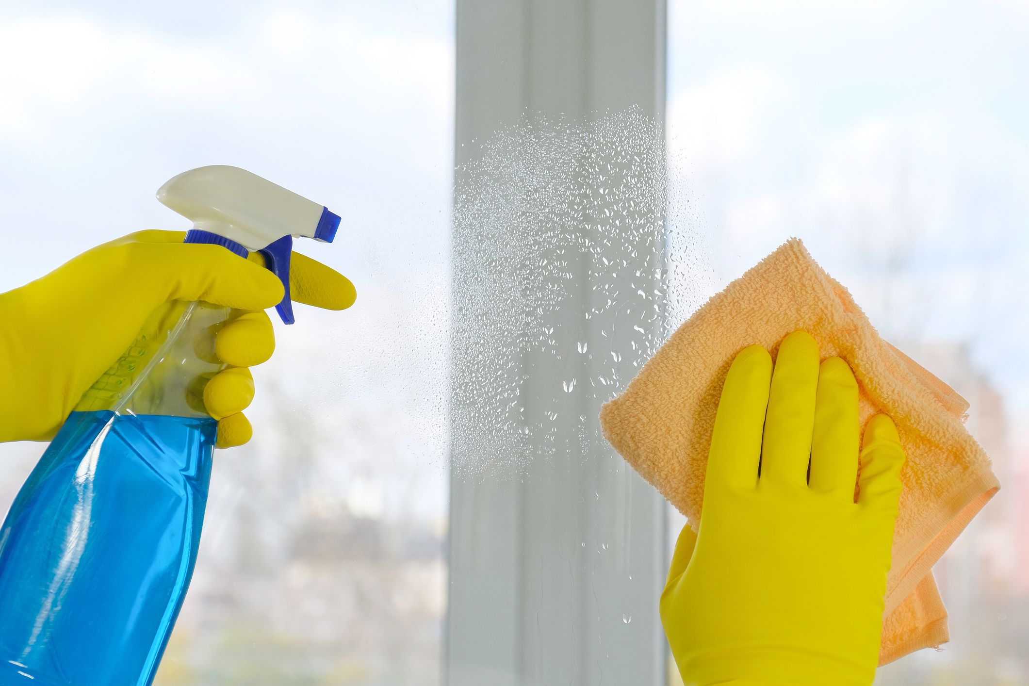 Best Window Cleaning