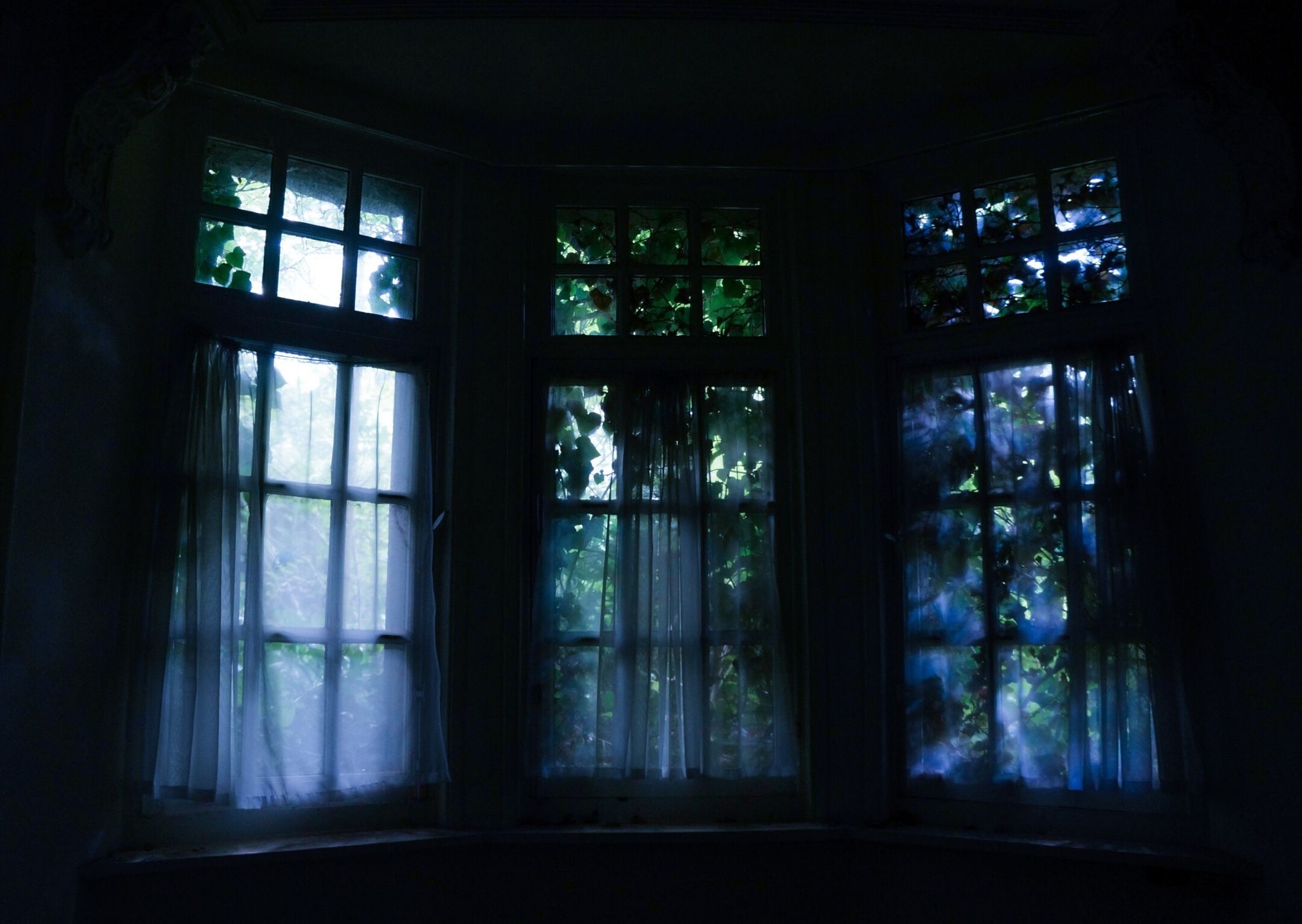 Windows in dark room