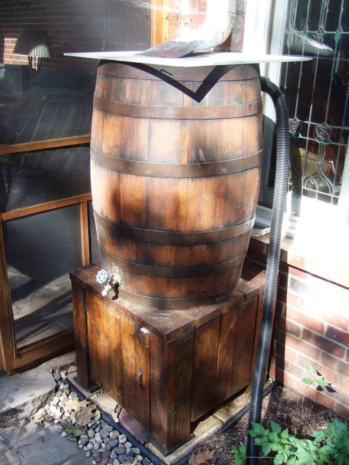 wine barrel rain barrel