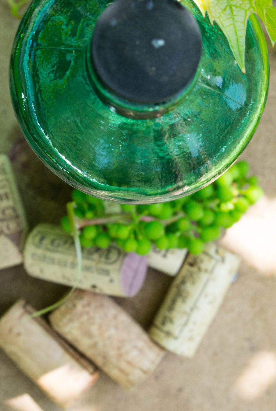 wine bottle corks in garden