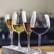 wine tasting theme with four glasses of wine