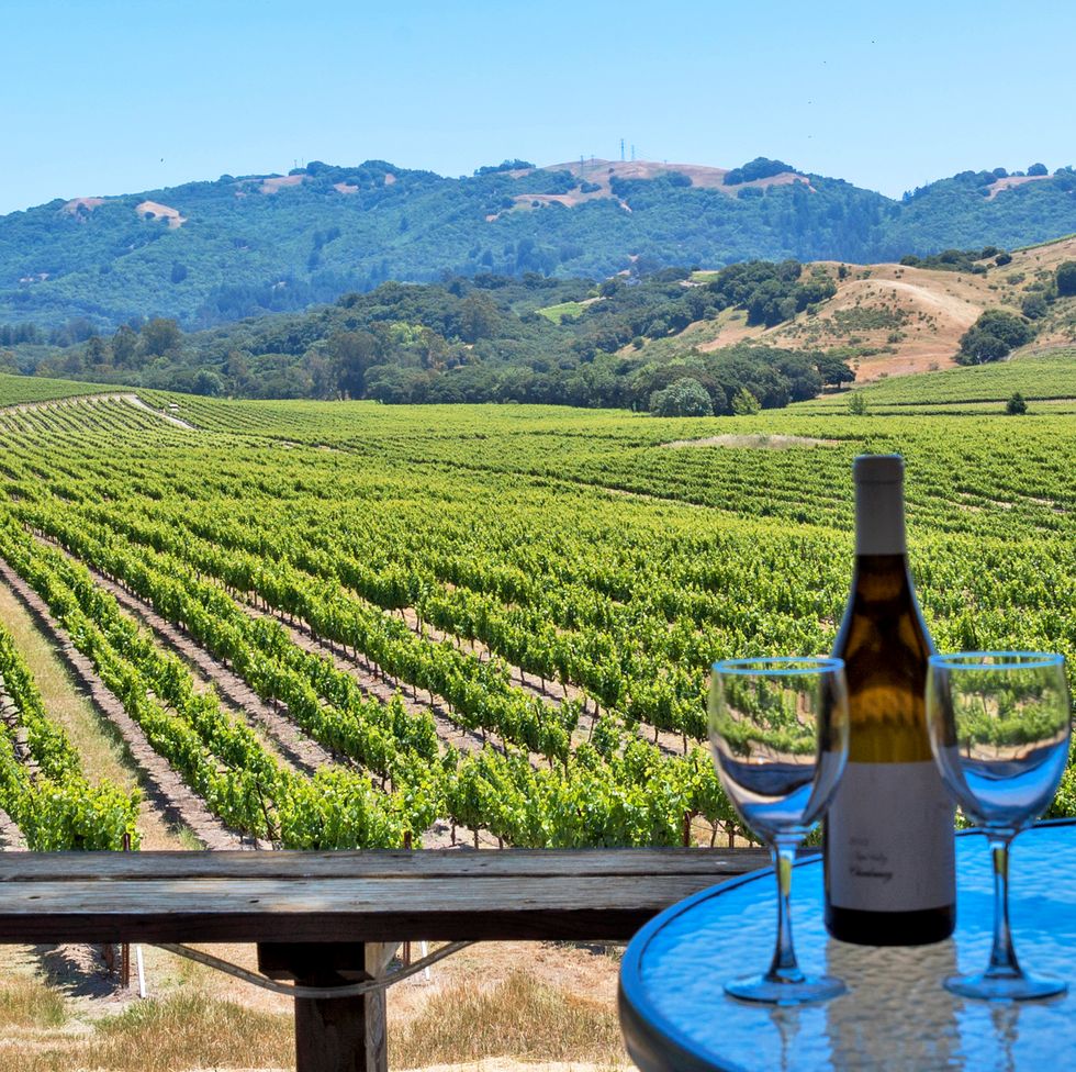 best honeymoon destinations sonoma california wineglass on table against farm