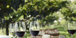 Foodpairing winepairing doordrinkwijnen