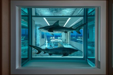Blue, Turquoise, Window, Room, Glass, Interior design, Aquarium, Painting, Fish, Fish, 