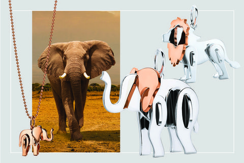 Elephant, Elephants and Mammoths, Illustration, Indian elephant, Art, Organism, Graphic design, Wildlife, African elephant, Fawn, 