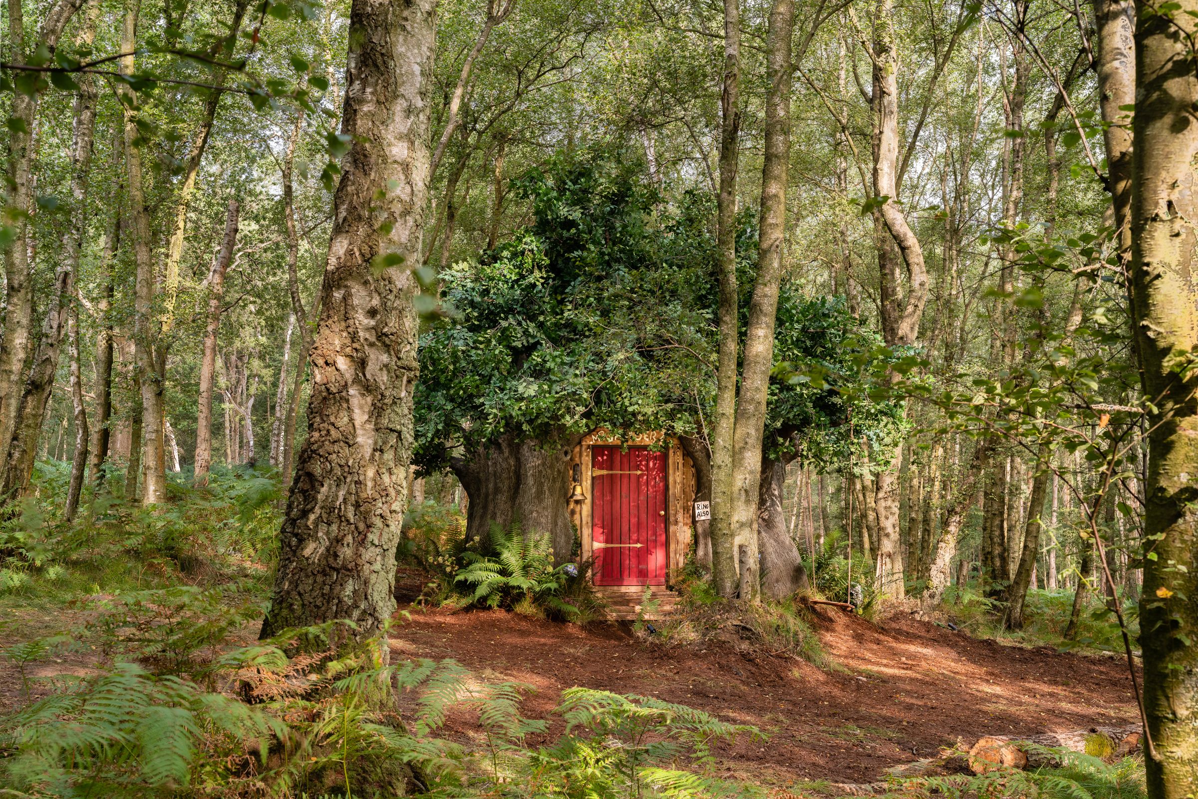 Where Winnie the Pooh Lived The Real Life Hundred Acre Wood