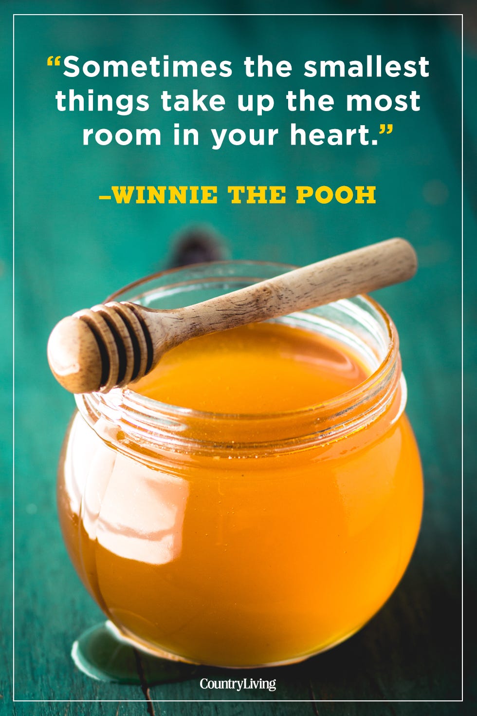 Best Winnie The Pooh Quotes Winnie The Pooh Friendship And Love Quotes