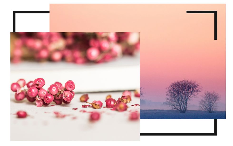 Pink, Text, Spring, Organism, Petal, Plant, Font, Magenta, Stock photography, Flower, 