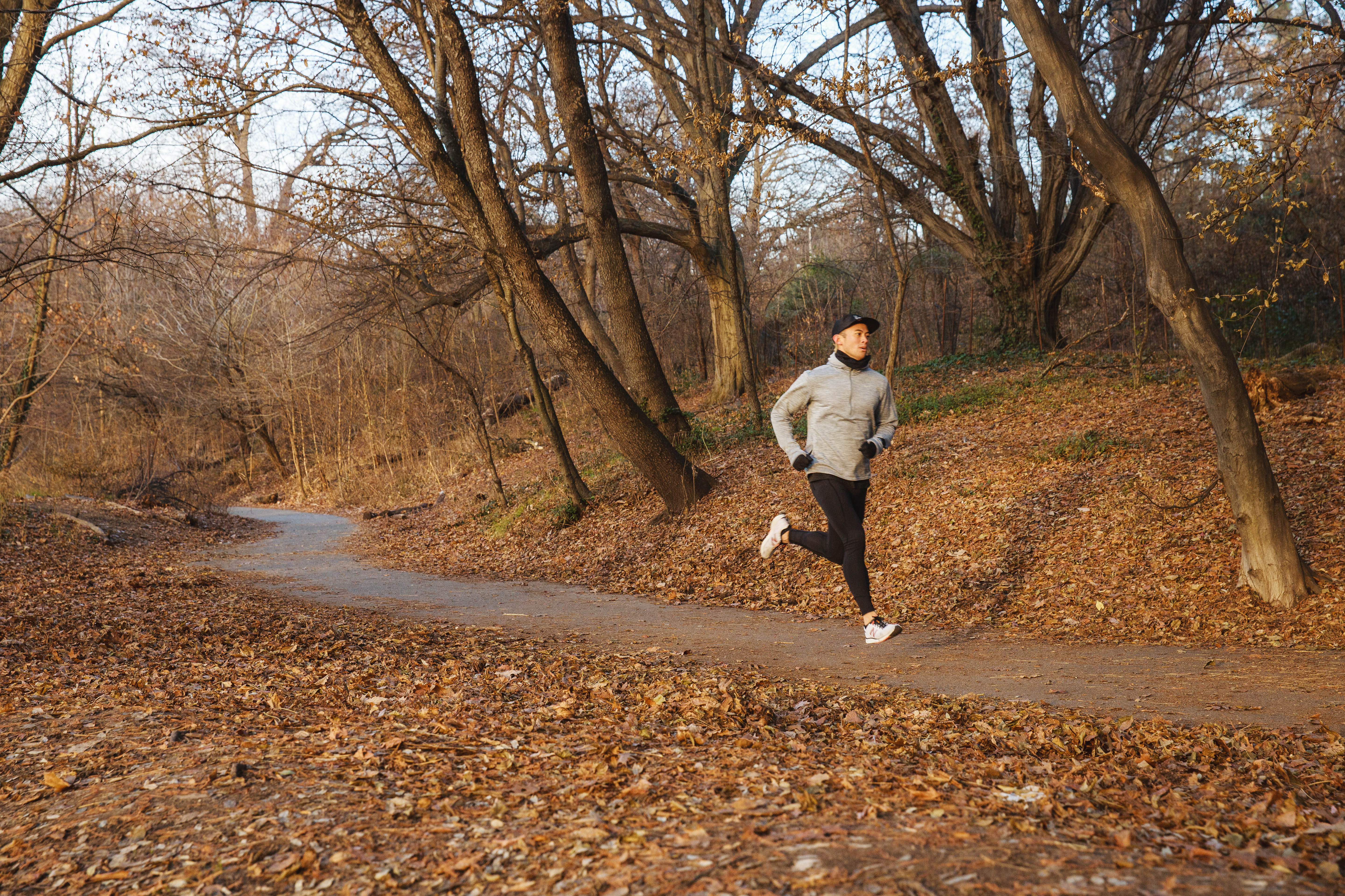 Trail, Tree, Recreation, Leaf, Running, Woodland, Jogging, Forest, Autumn, State park, 