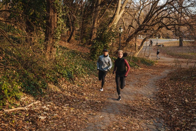 People in nature, Trail, Natural landscape, Tree, Walking, Leaf, Wilderness, Autumn, Recreation, Sky, 