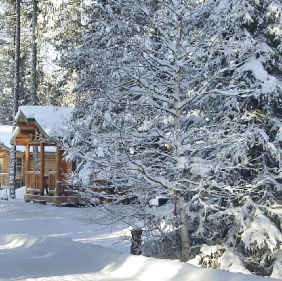 winter cabin rentals north forty
