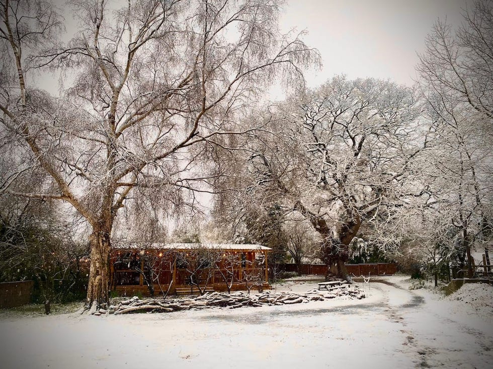 winter cabins