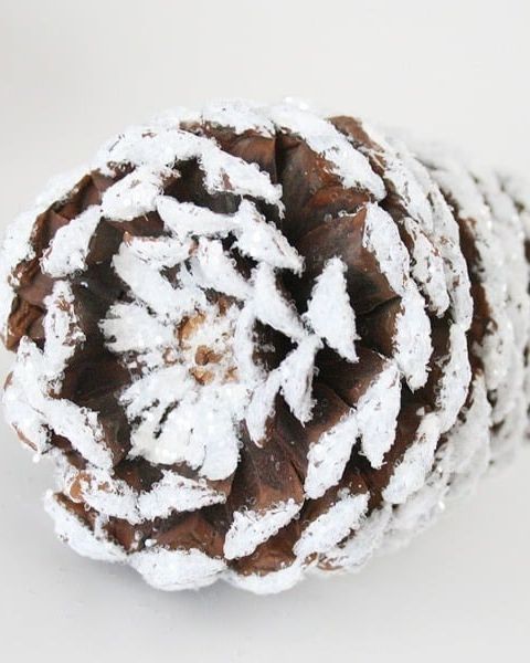 winter decorations faux snowy pinecones