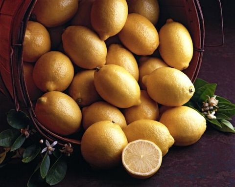 winter fruit like lemons
