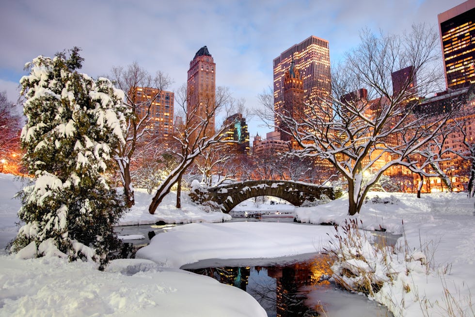 winter in central park, new york city