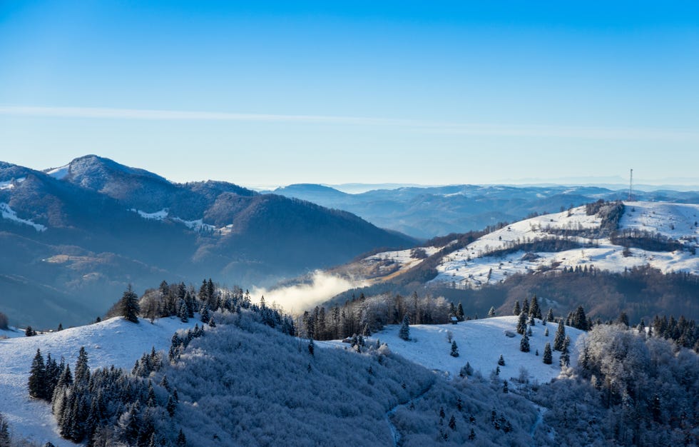 winter landscape