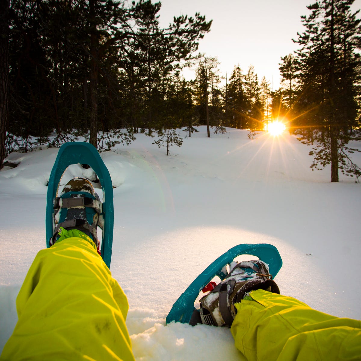 Has probado a pasear sobre raquetas de nieve? ¡Te enganchará