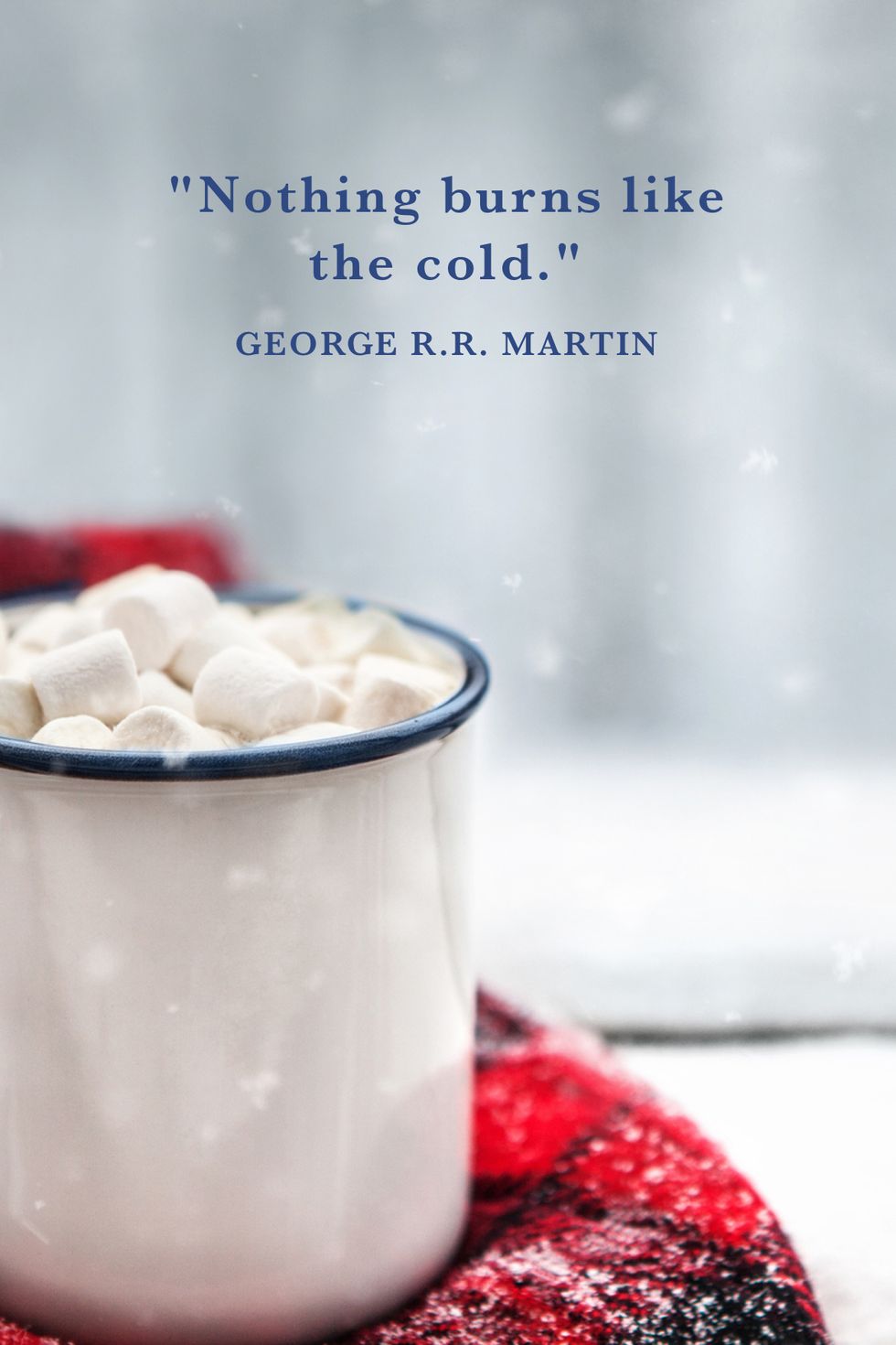 martin winter quotes