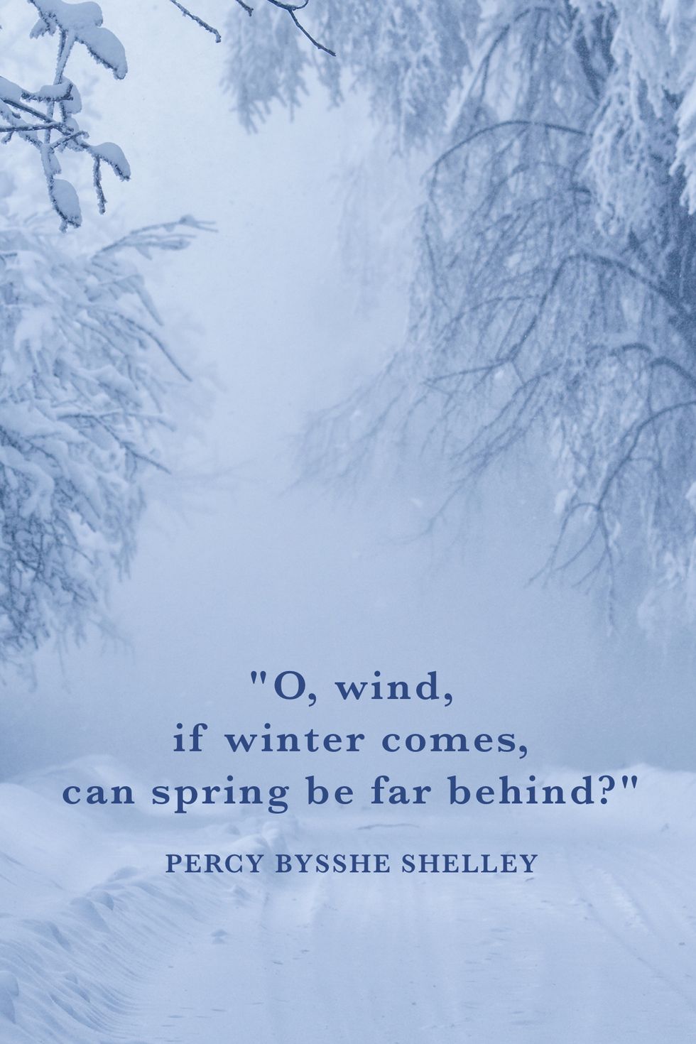 43 Best Winter Quotes - Snow Quotes and Sayings You'll Love