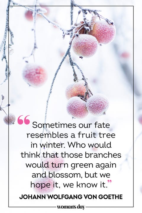 60 Best Winter Quotes - Inspirational Sayings About Winter 60 Best Winter Quotes - Inspirational Sayings About Winter