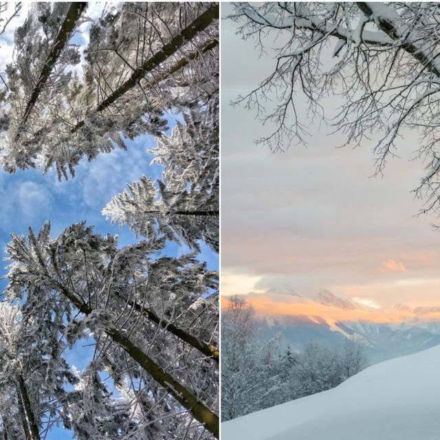 10 Photographs That Capture The Beauty Of The Winter Season