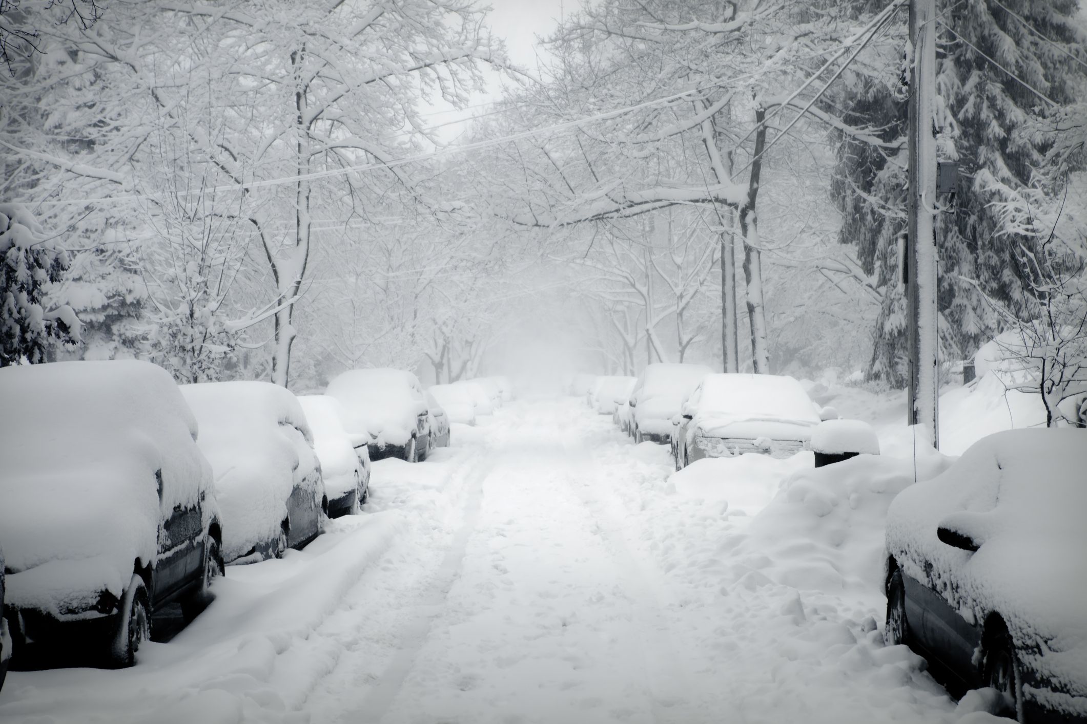 Old Farmer's Almanac Winter 2021-2022 Forecast and Predictions