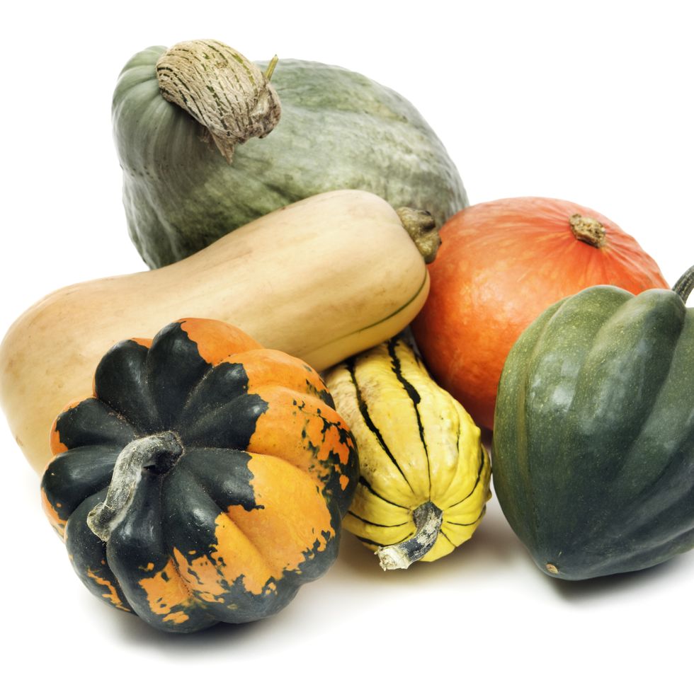 winter squash gourd family, still life isolated on white background