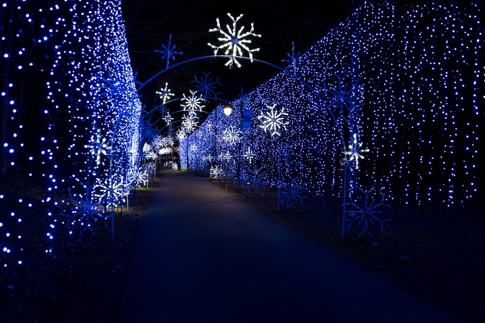 winter wonderland of snowflakes and lighted walkway