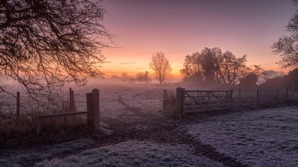 dedham, colchester, uk december 16, 2017image shows a violet and purple hinted image of a very cold, winter scene the frost is still covering the ground but we see the sun trying hard to bring warmth to a cold, frosty morning our attention is drawn to the track that leads through an open gate between two fields, the track snakes through the frost, towards the rising sun we see in the sky and into the the mist all around are trees with no foliage, despite the obvious cold nature of the image there is a warmth to the scene cast by the orange and purple hues