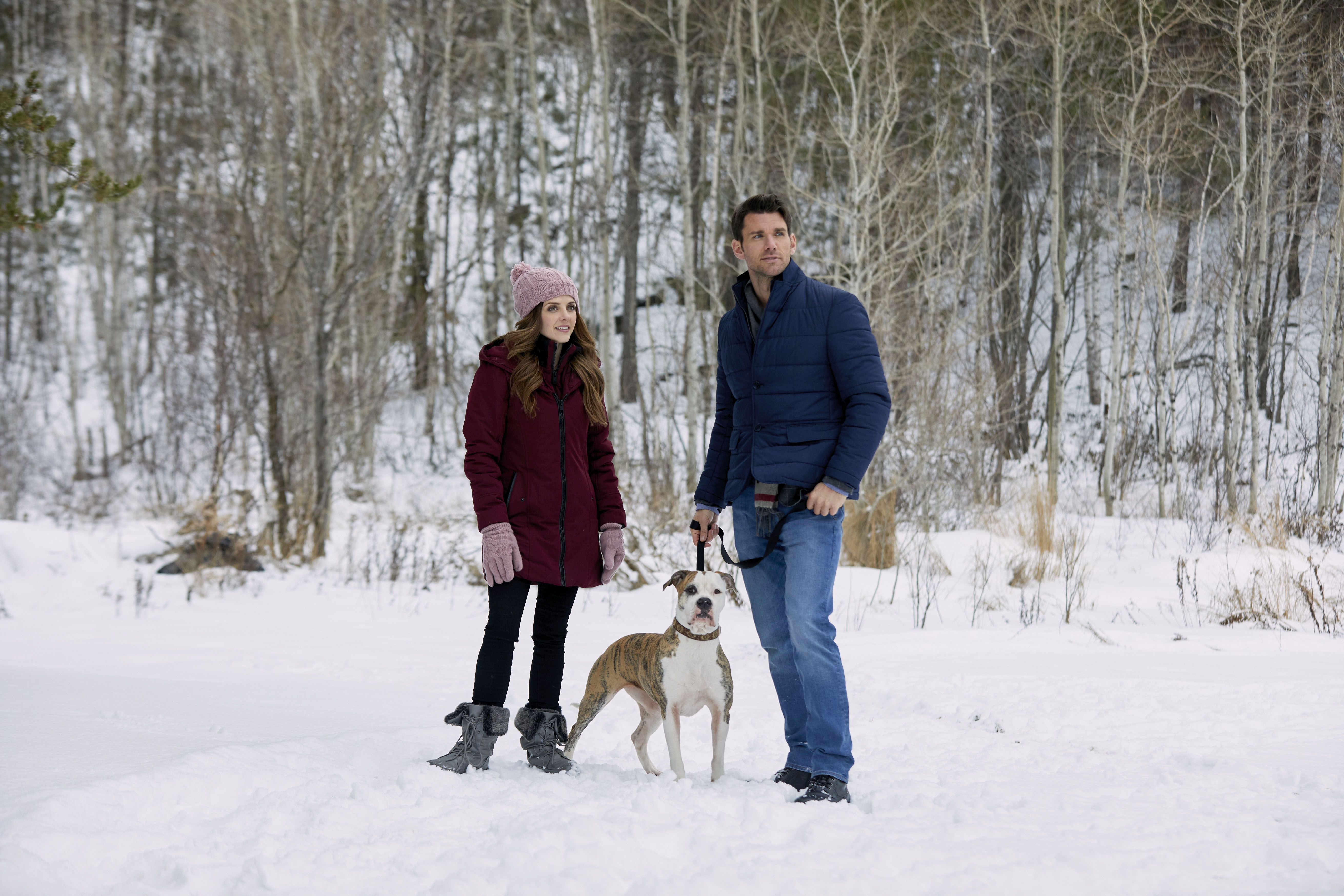 Winter love story discount hallmark full movie online