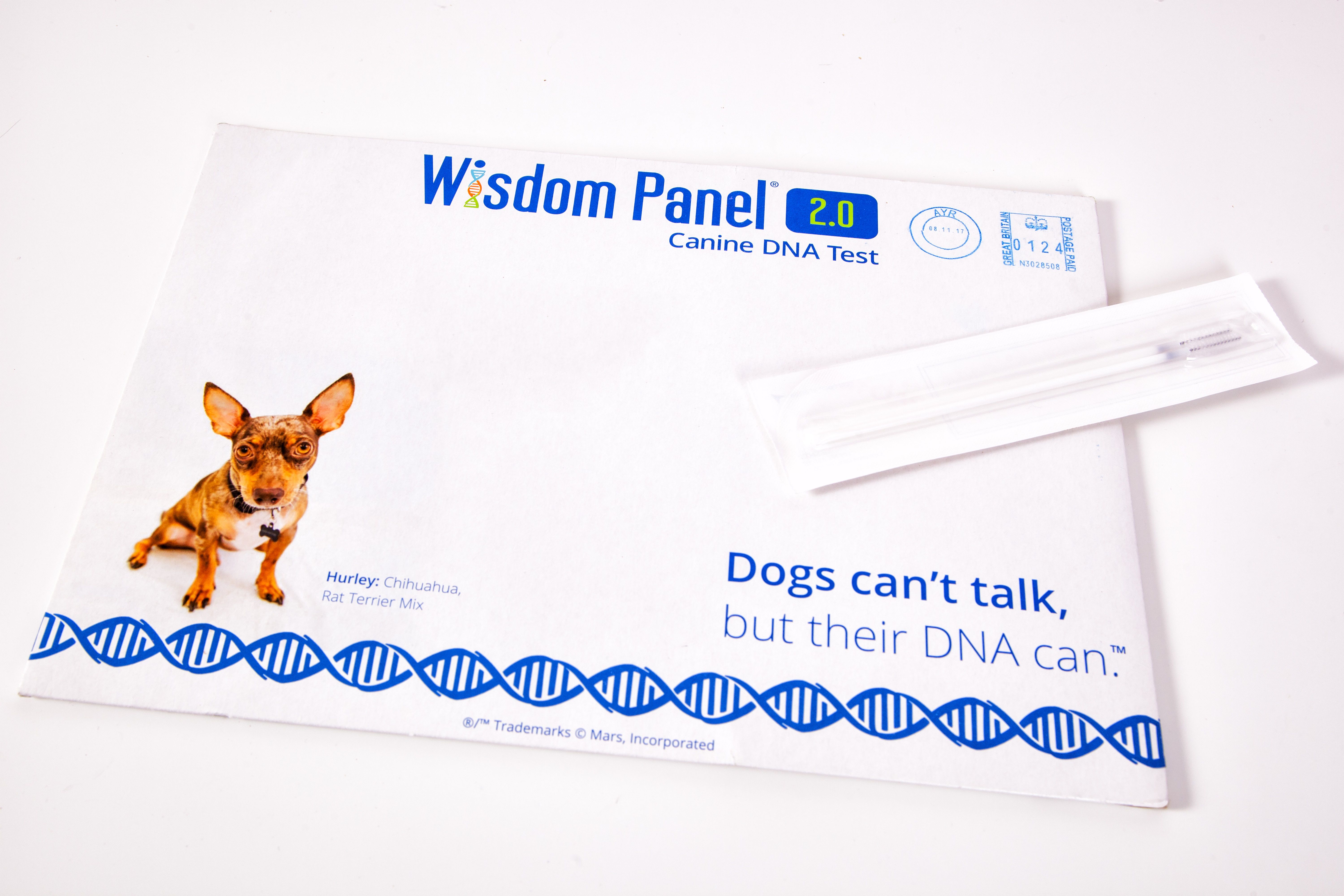 Mars dog 2024 dna test kit