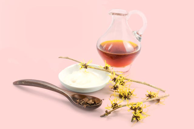 flowering witch hazel hamamelis, dried leaves, cream and essence for homemade skin care cosmetics and bath additive, isolated with shadow on a white background