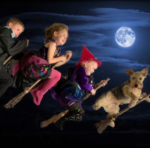 kids and dog in costumes on broomsticks