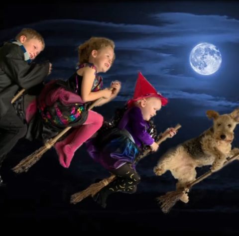 kids and dog in costumes on broomsticks