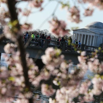 washington, dc april 2 with the jefferson memorial in the ba