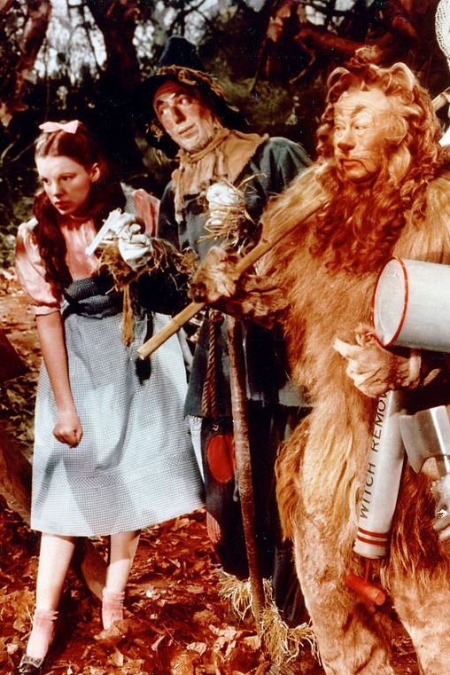 wizard of oz costumes   the lion